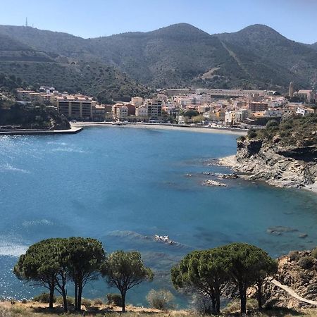 Piso En La Costa Brava Y Al Inicio Del Pirineo Διαμέρισμα Portbou Εξωτερικό φωτογραφία