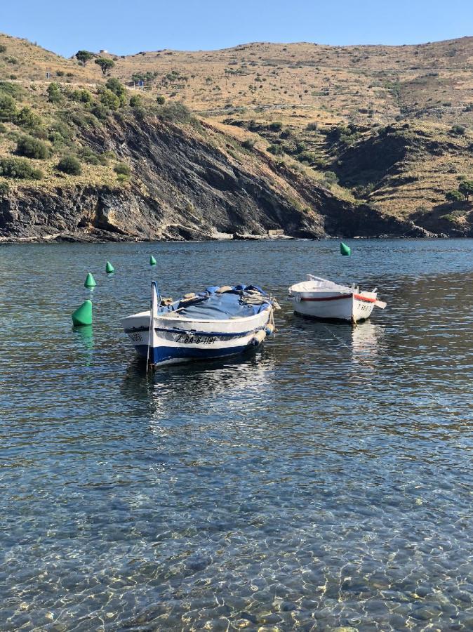 Piso En La Costa Brava Y Al Inicio Del Pirineo Διαμέρισμα Portbou Εξωτερικό φωτογραφία