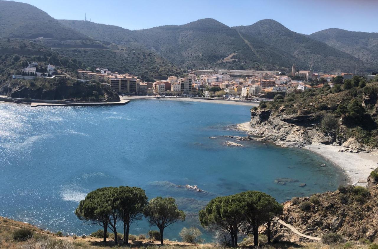 Piso En La Costa Brava Y Al Inicio Del Pirineo Διαμέρισμα Portbou Εξωτερικό φωτογραφία