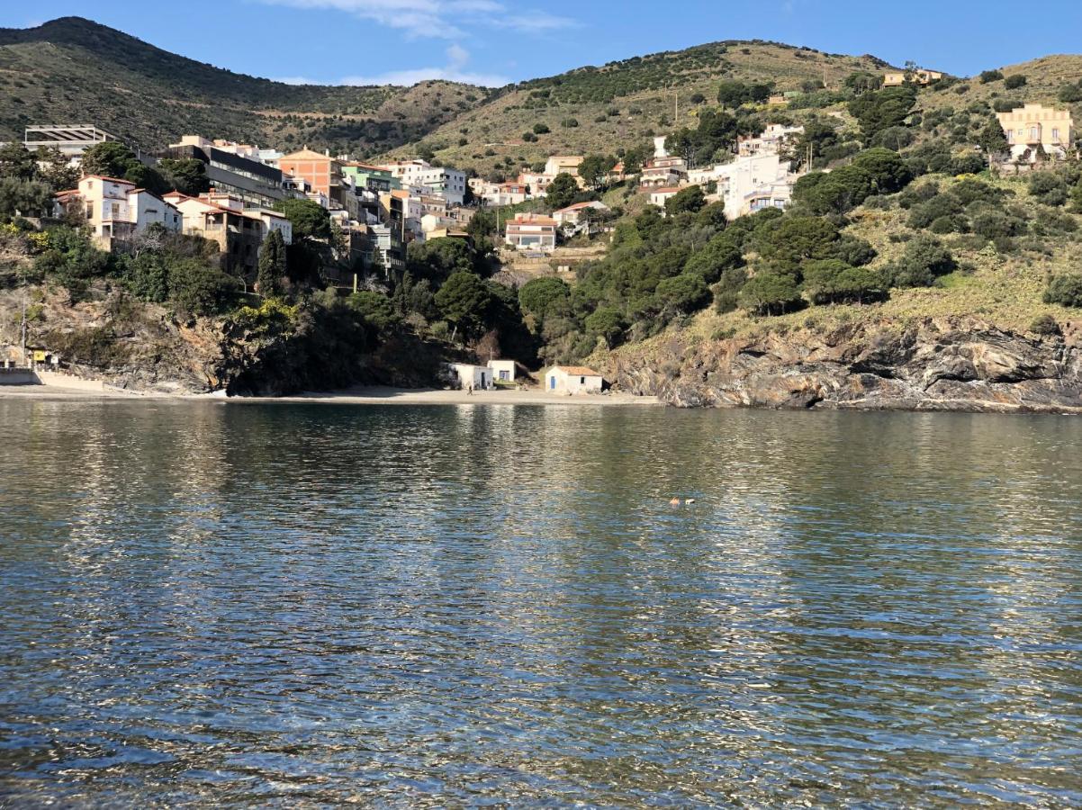 Piso En La Costa Brava Y Al Inicio Del Pirineo Διαμέρισμα Portbou Εξωτερικό φωτογραφία